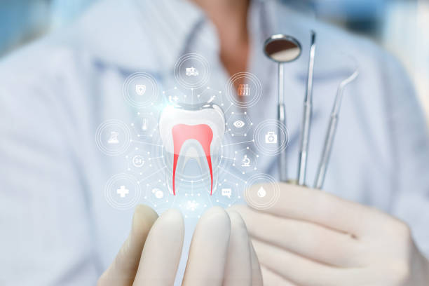 Best General Dentistry  in Surrey, ND